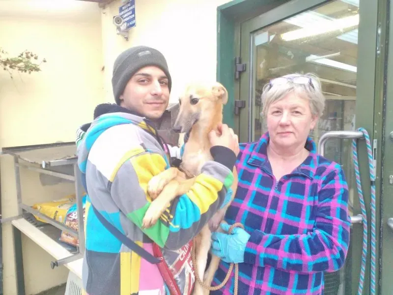 2014 11 25 14.48.35 1