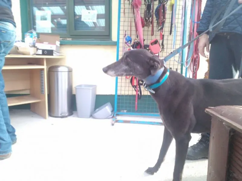 2014 11 25 14.48.35 2