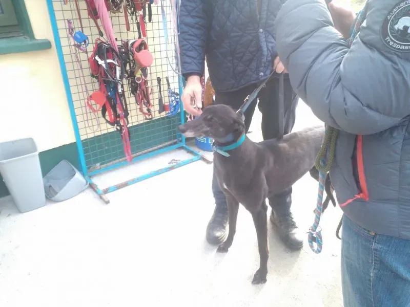 2014 11 25 14.48.36 1