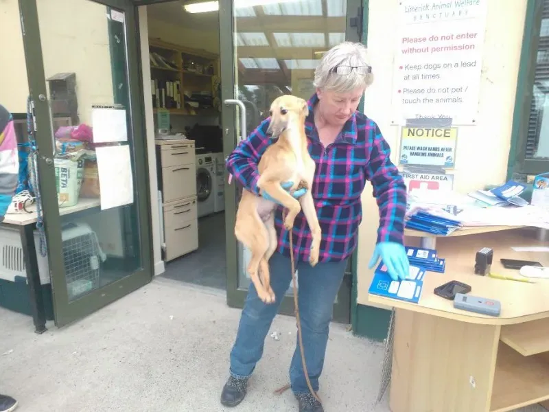 2014 11 25 14.48.36 2