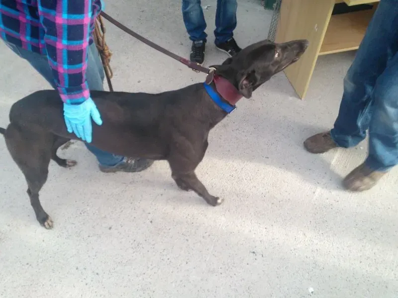 2014 11 25 14.48.36 3