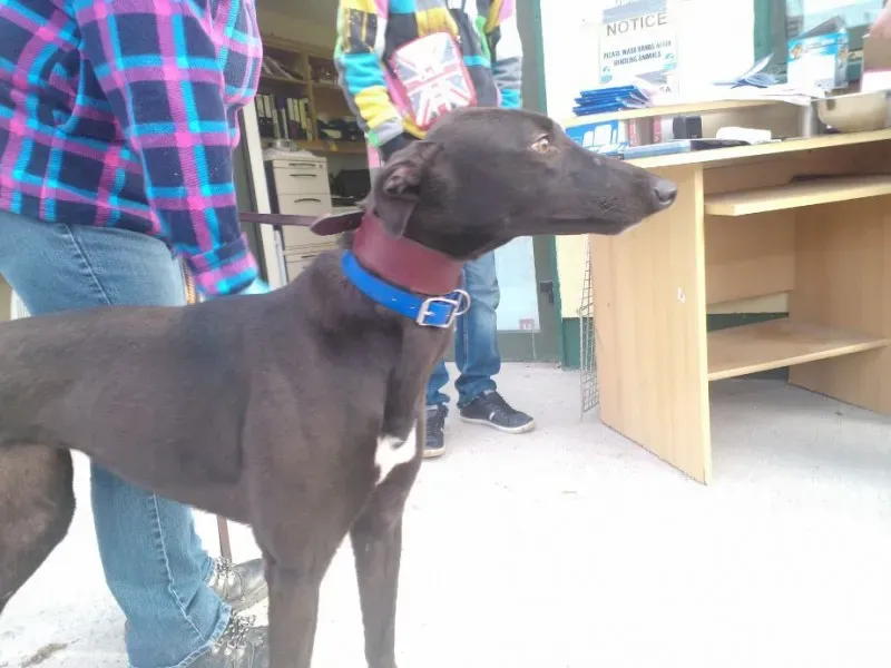 2014 11 25 14.48.36 4