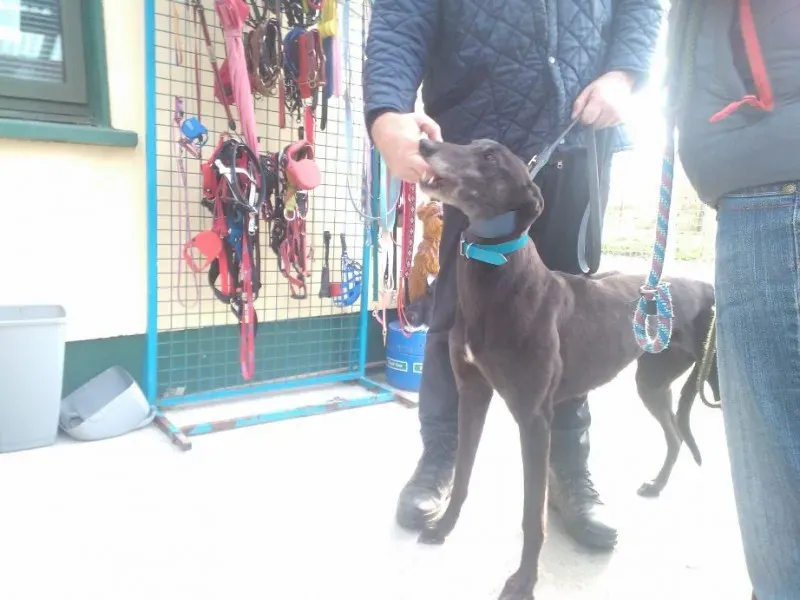 2014 11 25 14.48.37 1