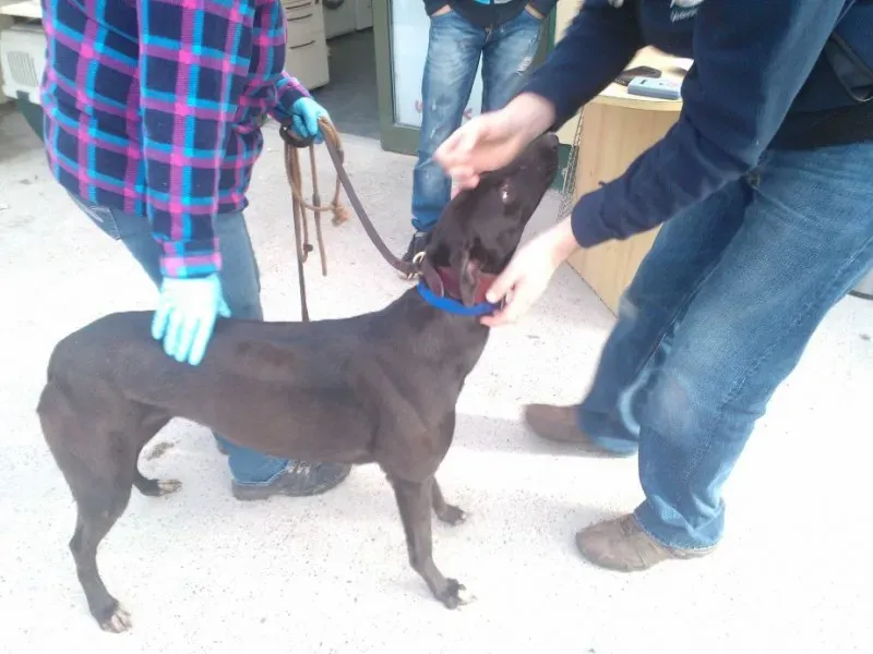 2014 11 25 14.48.37 2