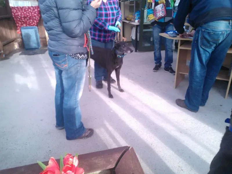 2014 11 25 14.48.37 3