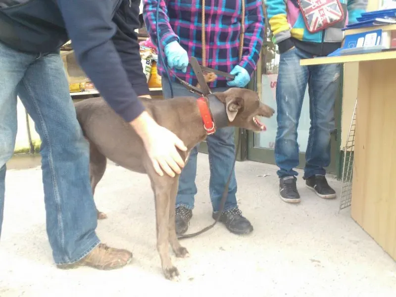 2014 11 25 14.49.01 1