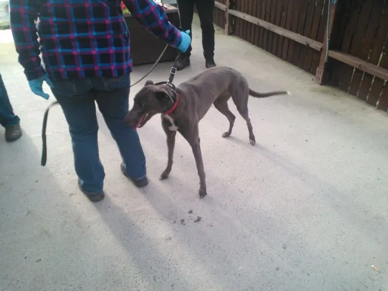 2014 11 25 14.49.01 2