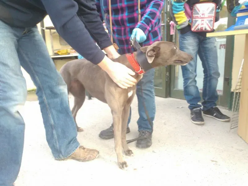 2014 11 25 14.49.01 3