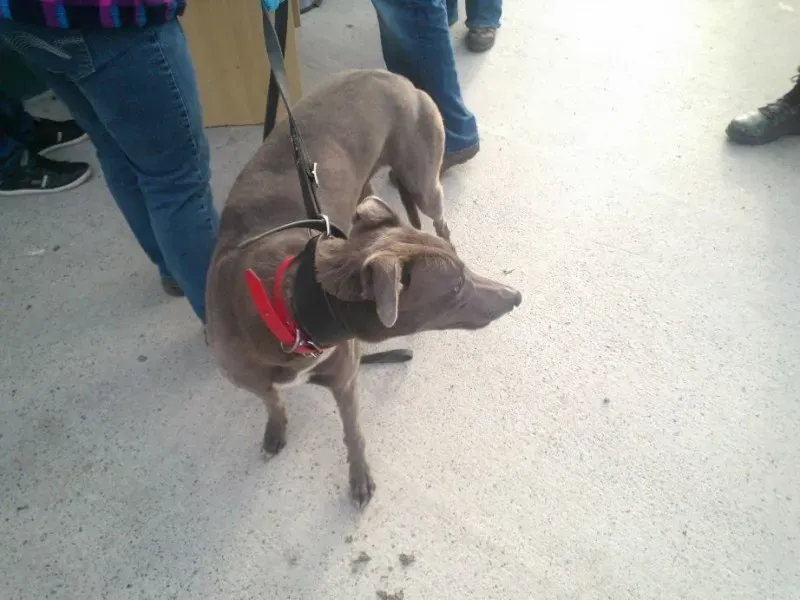 2014 11 25 14.49.02 1