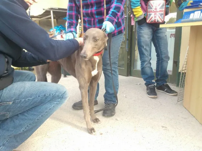 2014 11 25 14.49.02 2