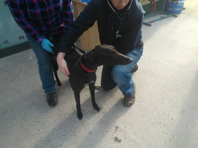 2014 11 25 14.49.02 3