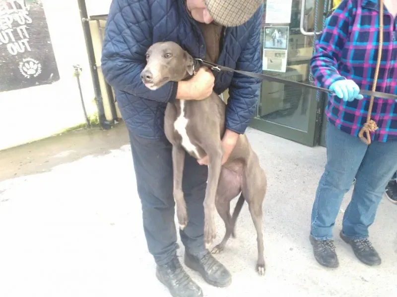 2014 11 25 14.49.02 4