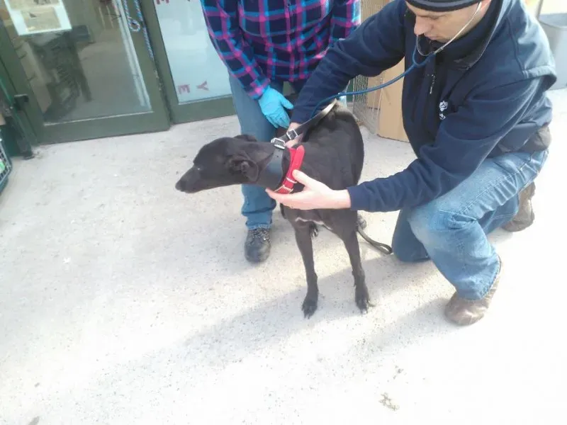 2014 11 25 14.49.03 1