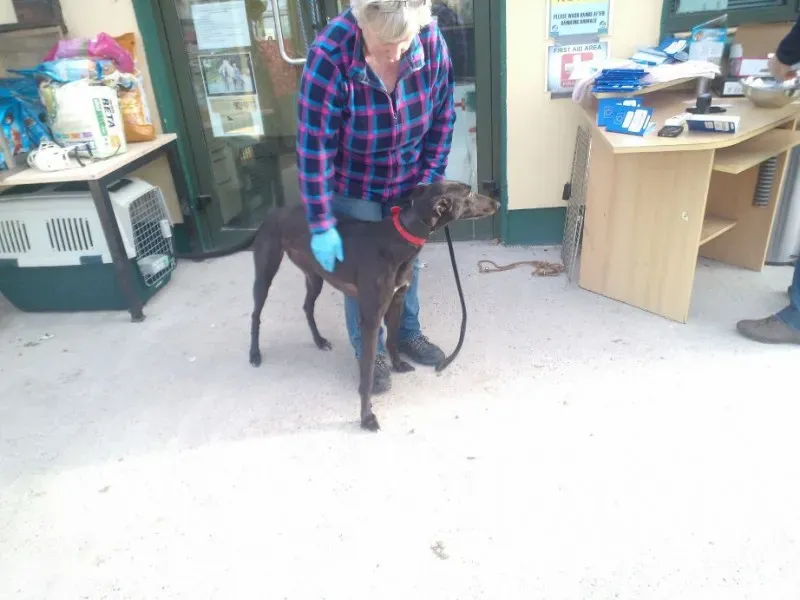 2014 11 25 14.49.03 2