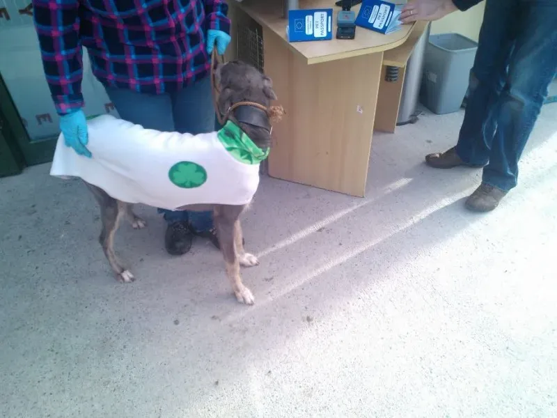 2014 11 25 14.49.03 4