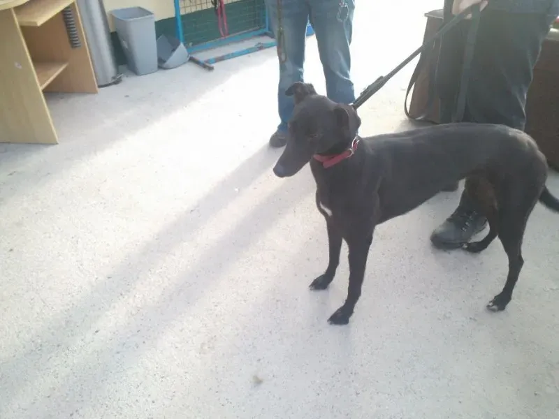 2014 11 25 14.49.04 1