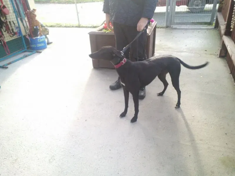 2014 11 25 14.49.04 2