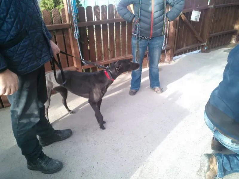 2014 11 25 14.49.04 4