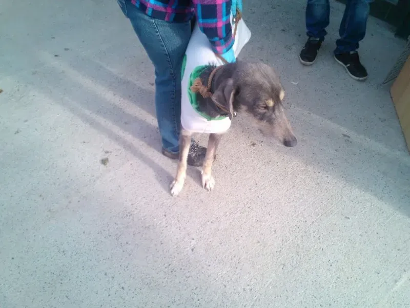 2014 11 25 14.49.05 1