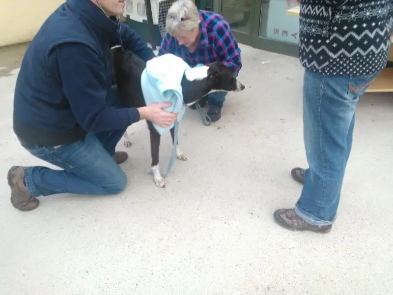 2014 11 25 14.49.05 2