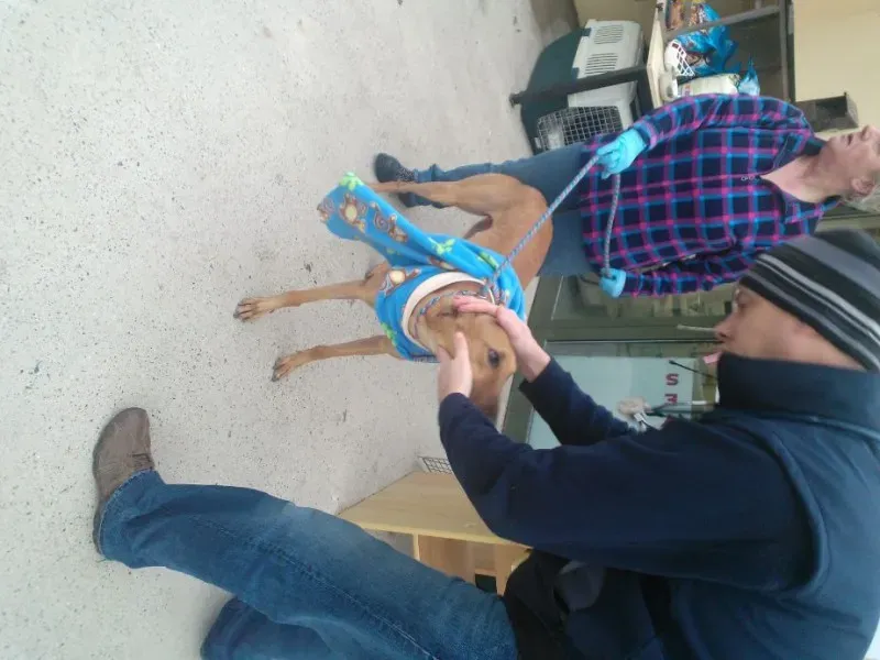 2014 11 25 14.49.06 1