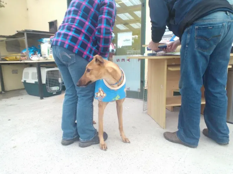 2014 11 25 14.49.06 2