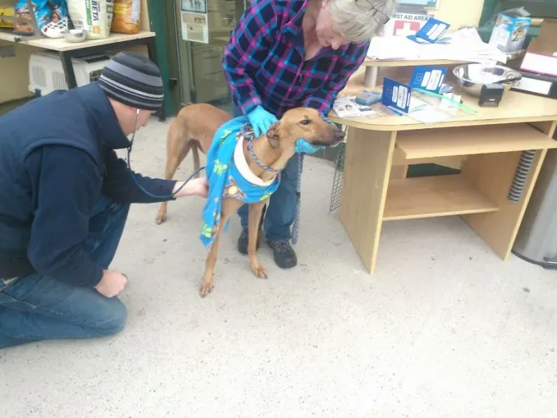 2014 11 25 14.49.06 3