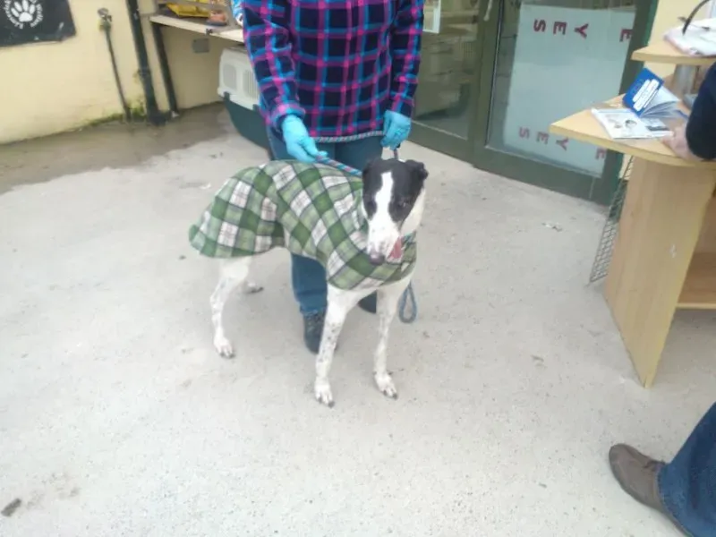 2014 11 25 14.49.06 4