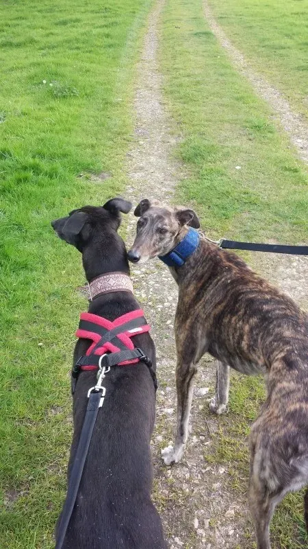 20140424 173244 1 e1398455121591