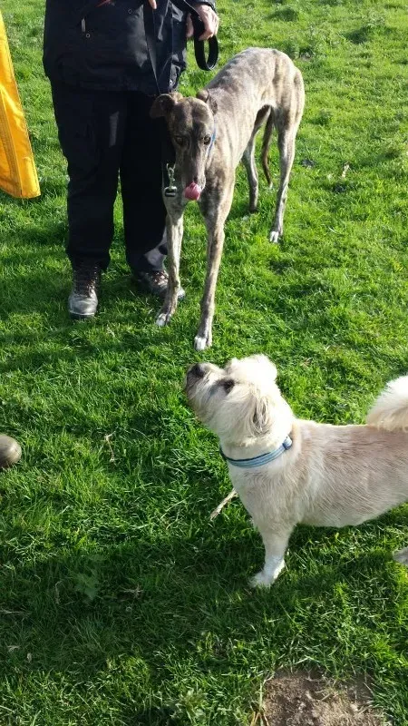 20140424 174425 e1398455695820