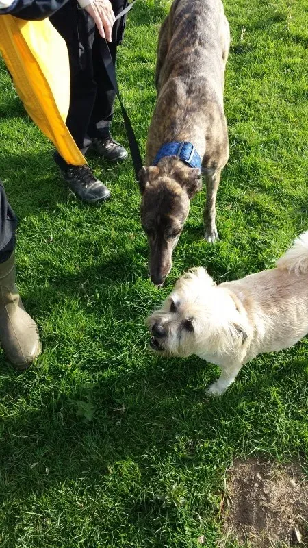 20140424 174430 e1398455685220