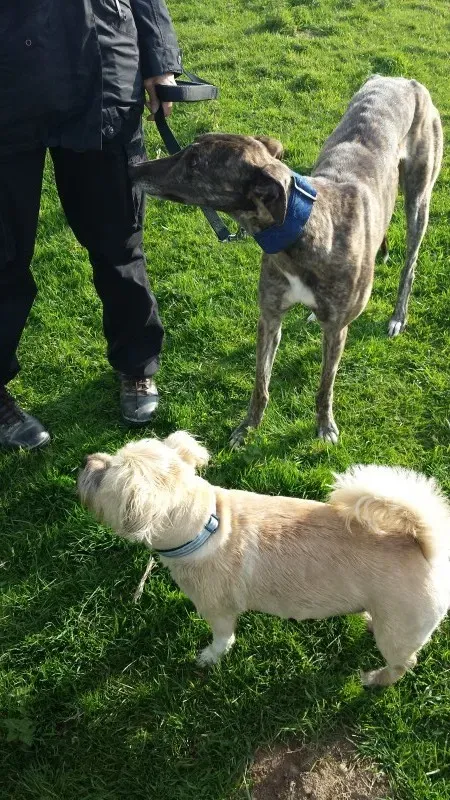 20140424 174440 e1398455673971