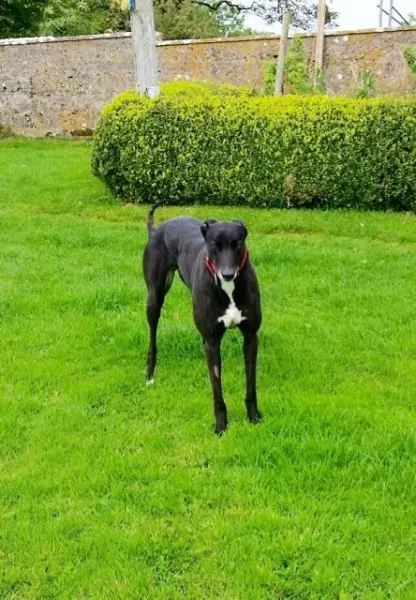 2015 10 09 12.54.02 resized