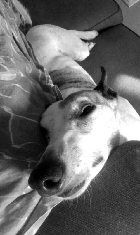 20150527 173106 e1510141293597