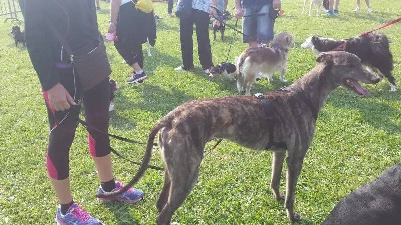 20150602 094325 e1433603754971