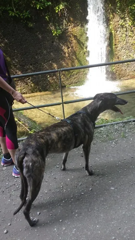 20150602 105342 e1433603768729