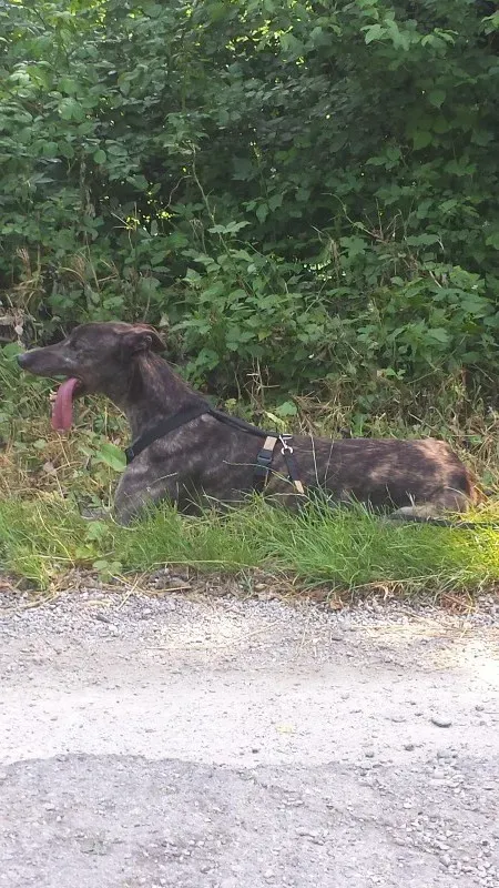 20150602 110302 2 e1433603784467