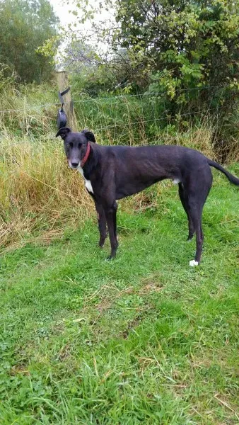 20151005 120142 resized 1