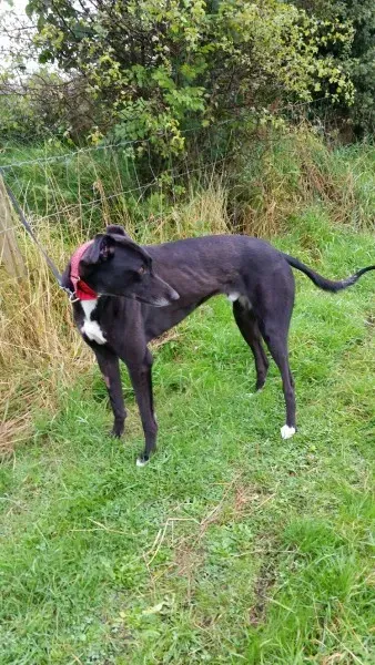 20151005 120156 resized 1