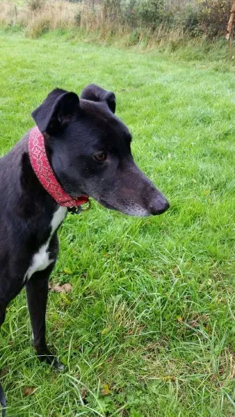 20151005 120501 resized