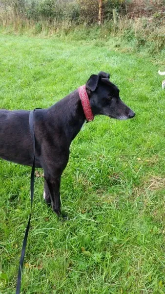 20151005 120533 resized 1