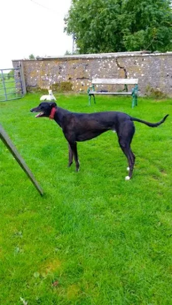 20151009 125530 resized