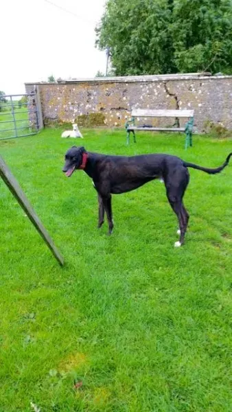 20151009 125531 resized