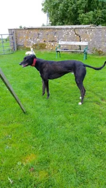 20151009 125533 resized