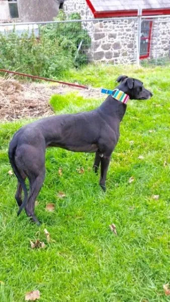 20151010 131107 resized