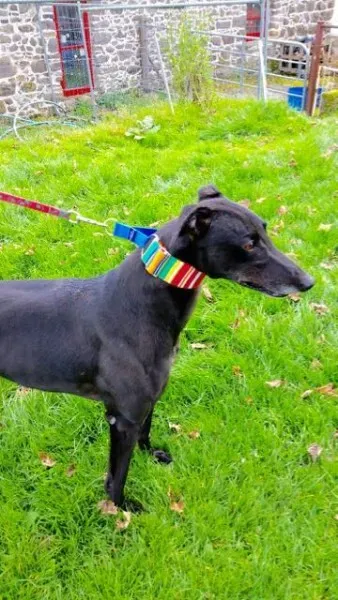 20151010 131140 resized