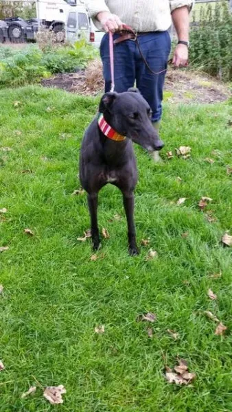 20151010 131154 resized