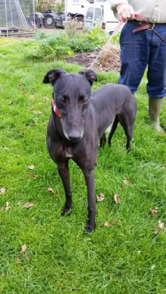 20151010 131158 resized