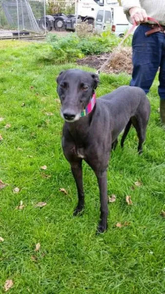 20151010 131159 resized