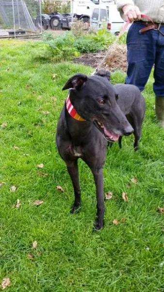 20151010 131201 resized